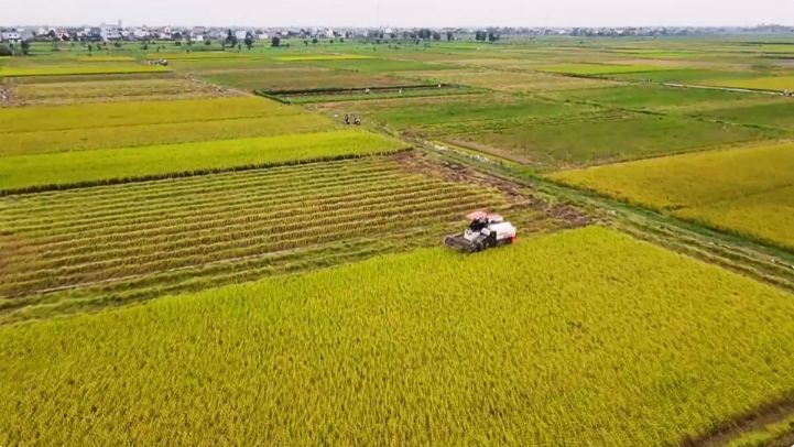 Hà Nội quy định công trình được xây trên đất nông nghiệp